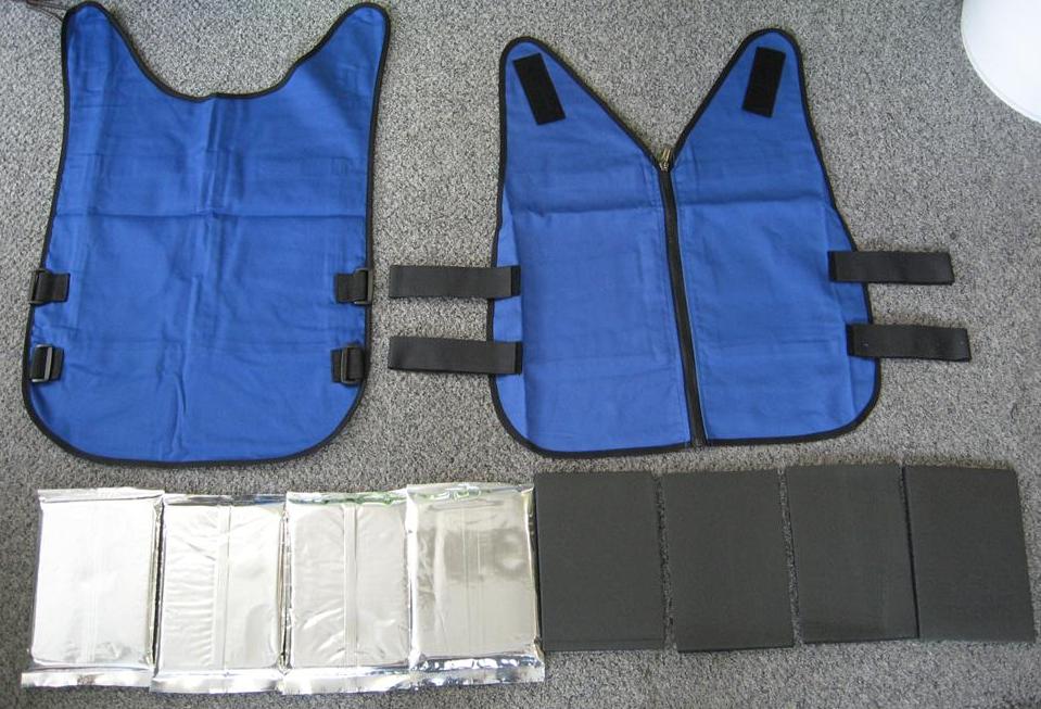 Personal store cooling vest