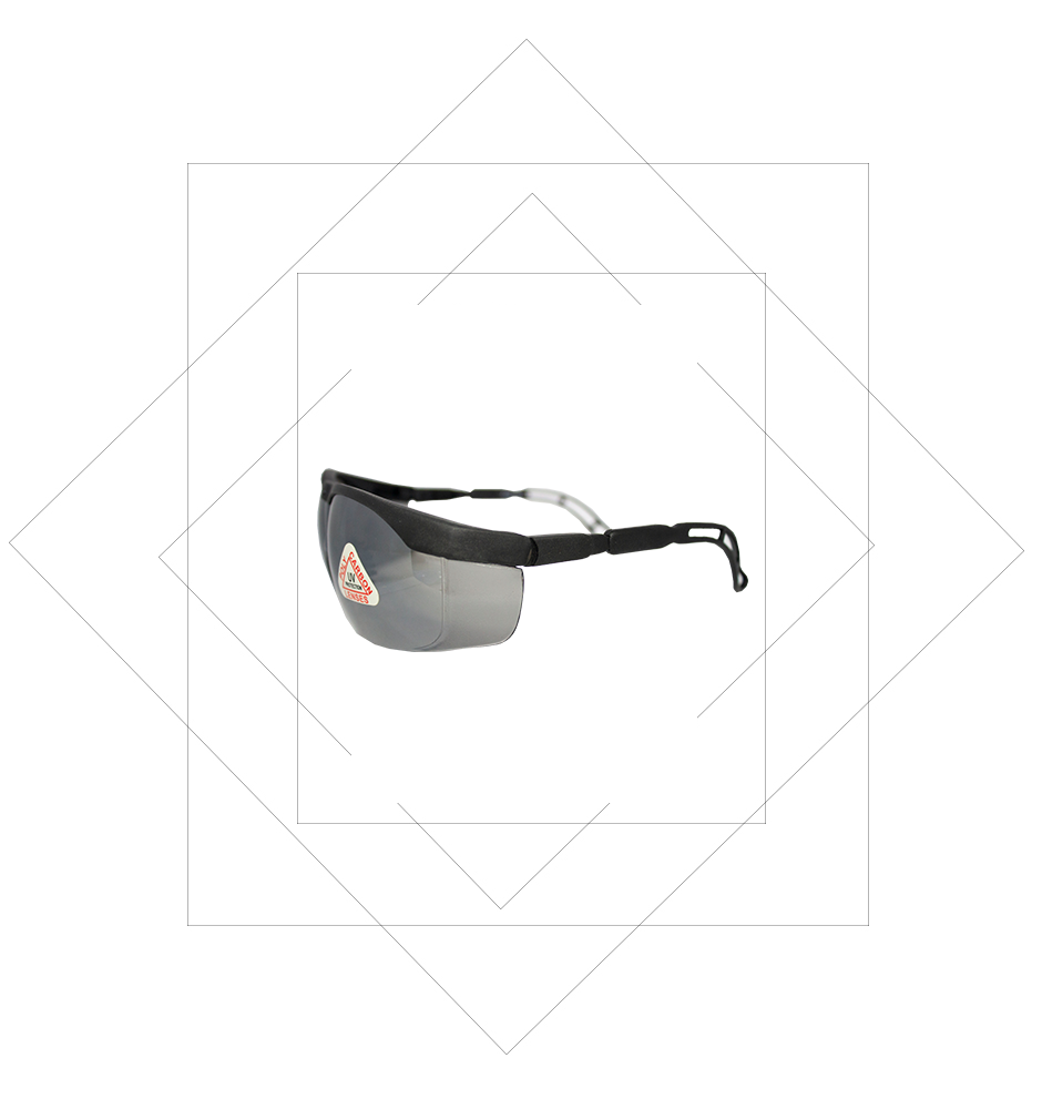 TF101 Black Frame Safety Spectacles